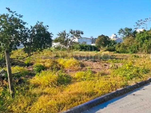 Terreno / Lote para Venda em São José/SC Sertão do Maruim