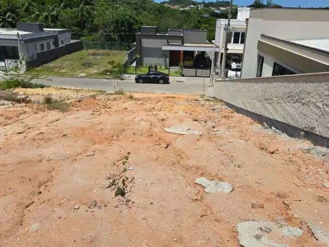 Terreno / Lote para Venda em São José/SC Sertão do Maruim