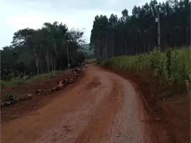 Terreno / Lote para Venda em São Jerônimo da Serra/PR Centro