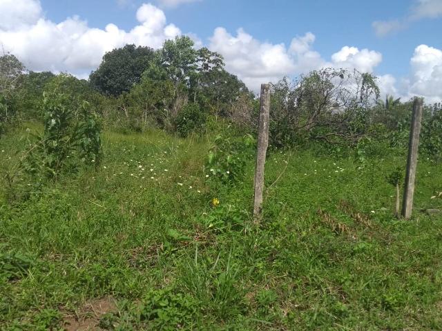 Terreno / Lote para Venda em São Lourenço da Mata/PE Chã da Tábua