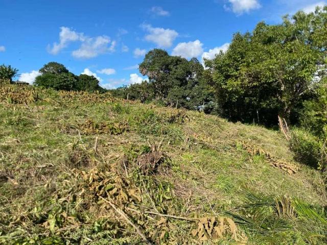 Terreno / Lote para Venda em São Lourenço da Mata/PE Penedo