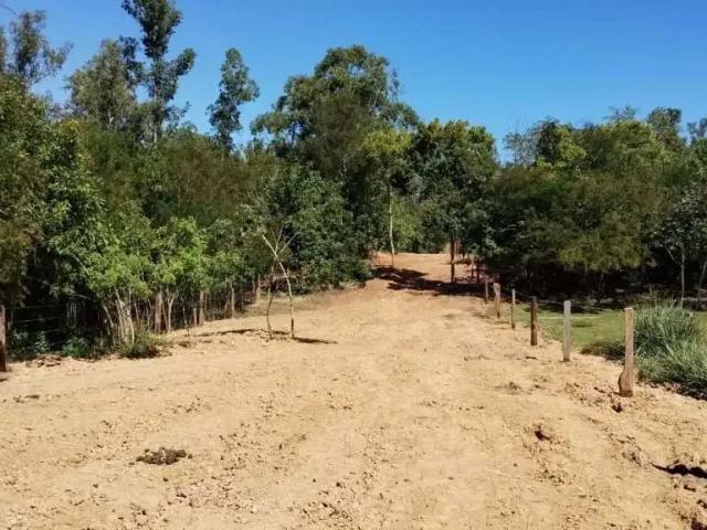 Terreno / Lote para Venda em São Leopoldo/RS Vicentina