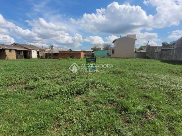 Terreno / Lote para Venda em São Leopoldo/RS Vicentina