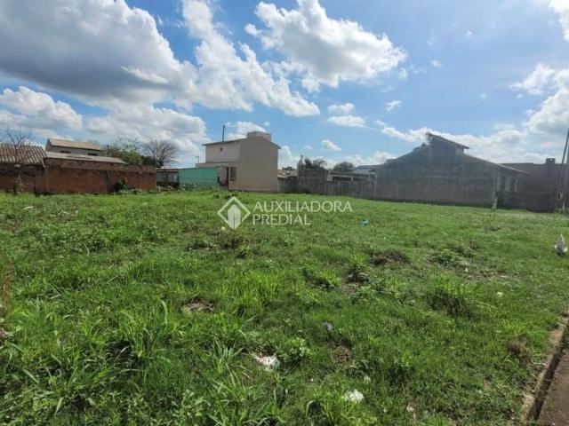 Terreno / Lote para Venda em São Leopoldo/RS Vicentina