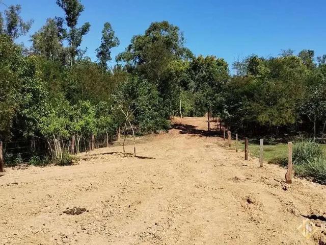 Terreno / Lote para Venda em São Leopoldo/RS Vicentina