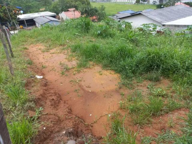 Terreno / Lote para Venda em São Leopoldo/RS Arroio da Manteiga