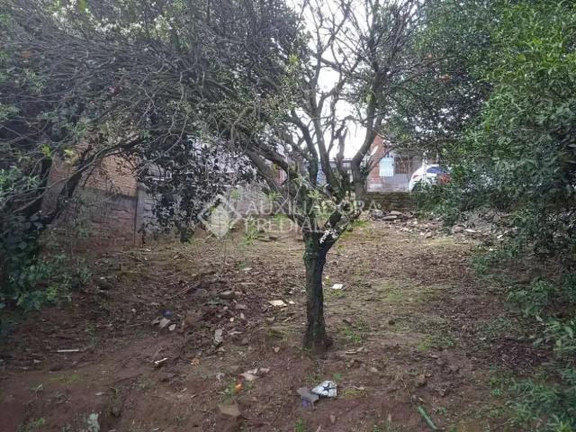 Terreno / Lote para Venda em São Leopoldo/RS Arroio da Manteiga