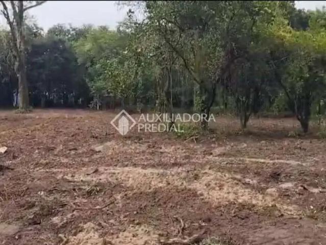 Terreno / Lote para Venda em São Leopoldo/RS Arroio da Manteiga