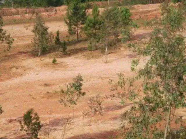 Terreno / Lote para Venda em São Leopoldo/RS Arroio da Manteiga