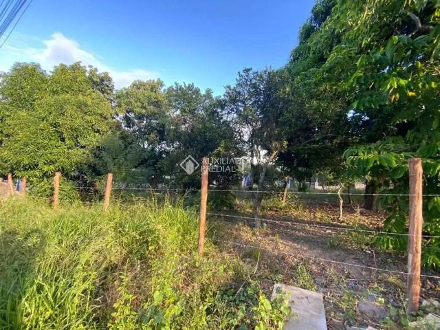 Terreno / Lote para Venda em São Leopoldo/RS Arroio da Manteiga