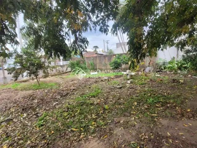 Terreno / Lote para Venda em São Leopoldo/RS Arroio da Manteiga