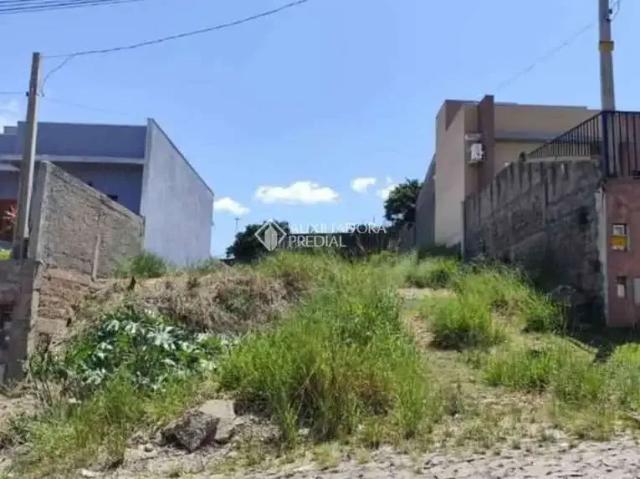 Terreno / Lote para Venda em São Leopoldo/RS Arroio da Manteiga