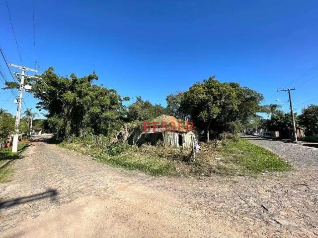 Terreno / Lote para Venda em São Leopoldo/RS Arroio da Manteiga