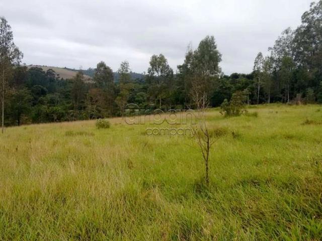 Terreno / Lote para Venda em São Leopoldo/RS Boa Vista