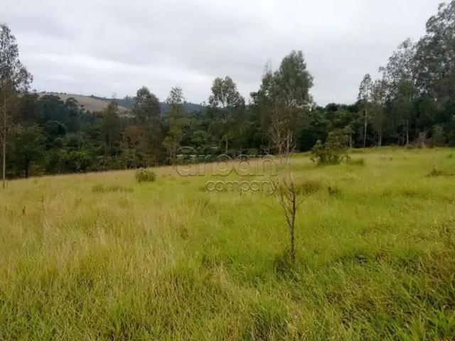 Terreno / Lote para Venda em São Leopoldo/RS Boa Vista
