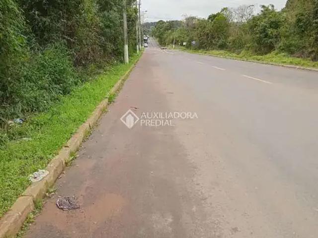Terreno / Lote para Venda em São Leopoldo/RS Campestre