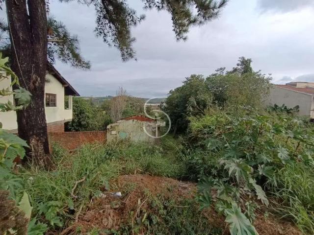 Terreno / Lote para Venda em São Leopoldo/RS Campestre