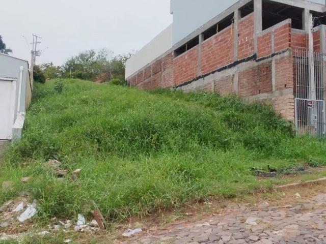 Terreno / Lote para Venda em São Leopoldo/RS Campestre