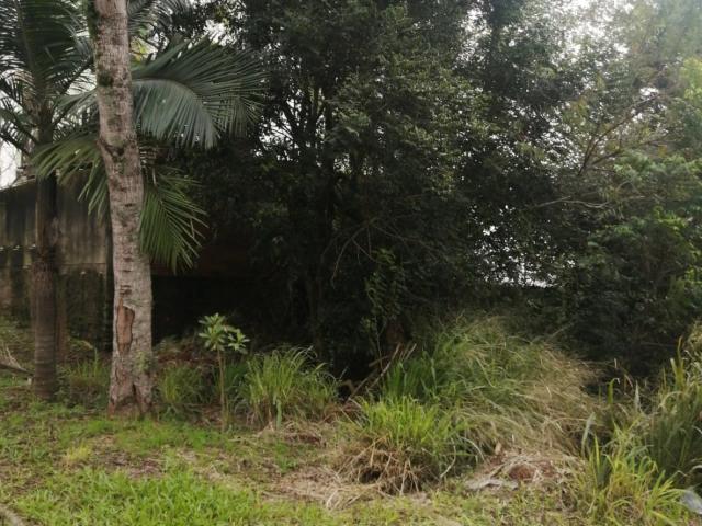 Terreno / Lote para Venda em São Leopoldo/RS Campestre