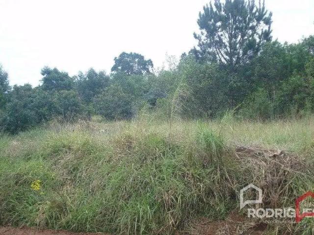 Terreno / Lote para Venda em São Leopoldo/RS Campestre
