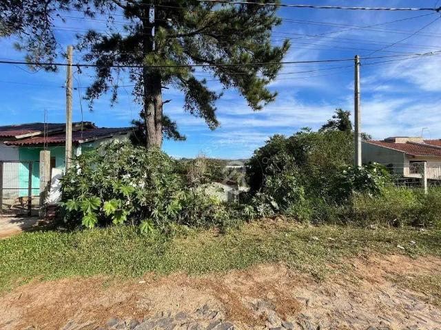 Terreno / Lote para Venda em São Leopoldo/RS Campestre