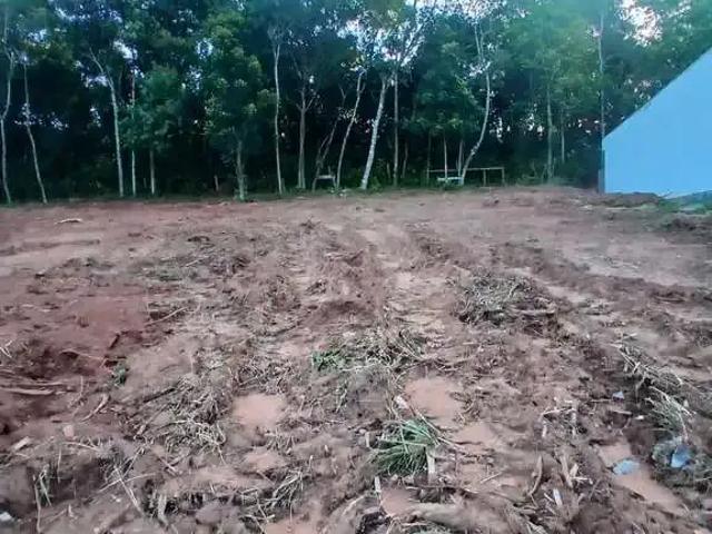 Terreno / Lote para Venda em São Leopoldo/RS Campestre