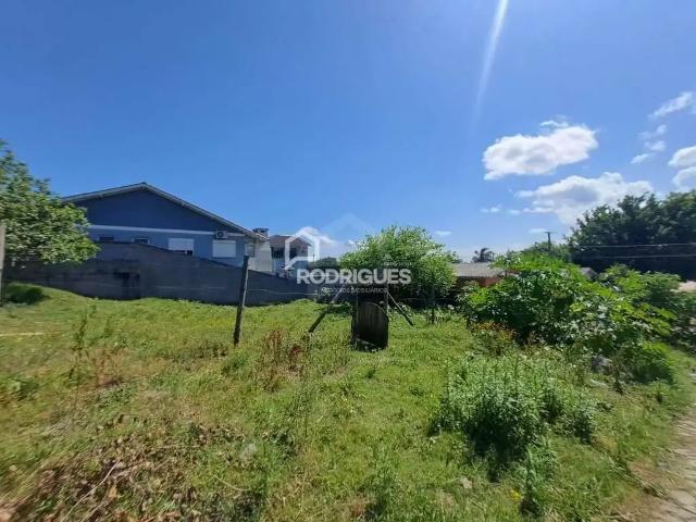 Terreno / Lote para Venda em São Leopoldo/RS Campestre