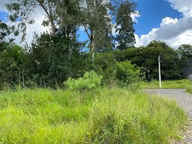 Terreno / Lote para Venda em São Leopoldo/RS Campestre