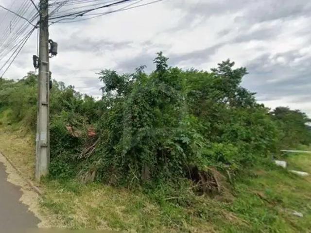 Terreno / Lote para Venda em São Leopoldo/RS Campestre