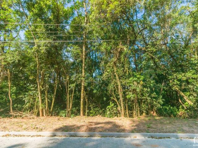 Terreno / Lote para Venda em São Leopoldo/RS Campestre