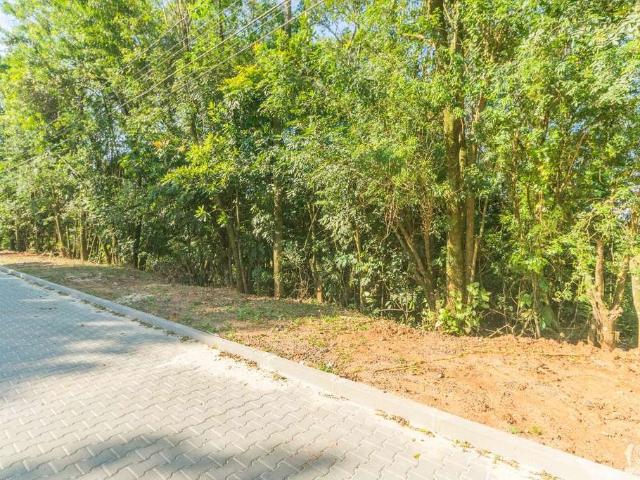 Terreno / Lote para Venda em São Leopoldo/RS Campestre