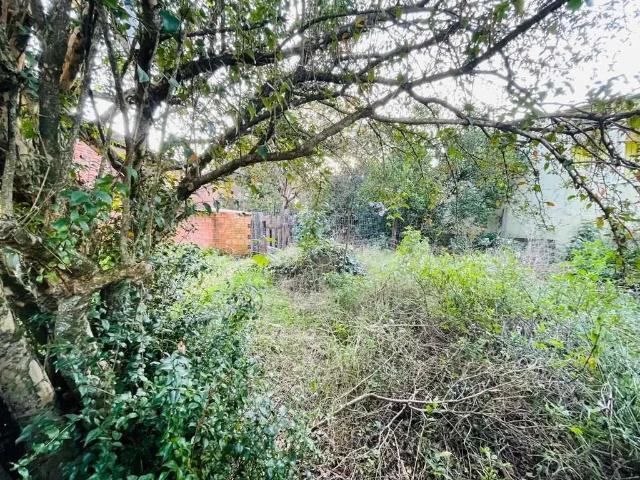 Terreno / Lote para Venda em São Leopoldo/RS Campestre