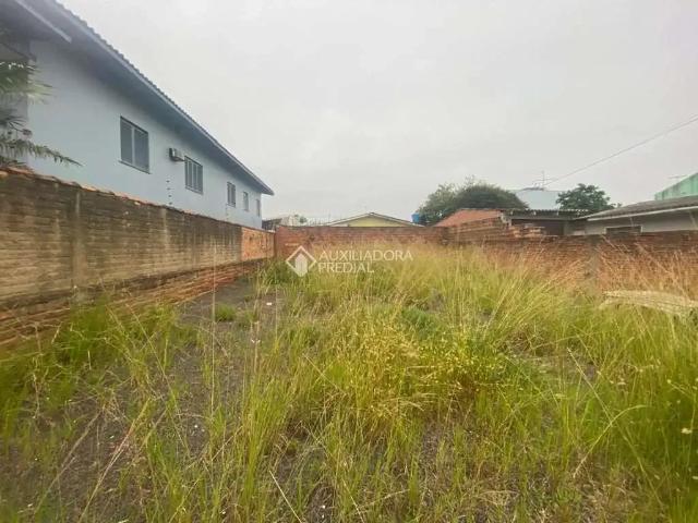 Terreno / Lote para Venda em São Leopoldo/RS Campina