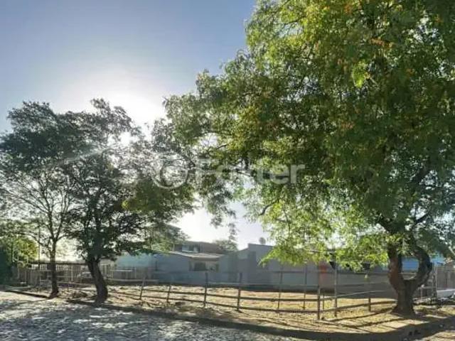 Terreno / Lote para Venda em São Leopoldo/RS Campina