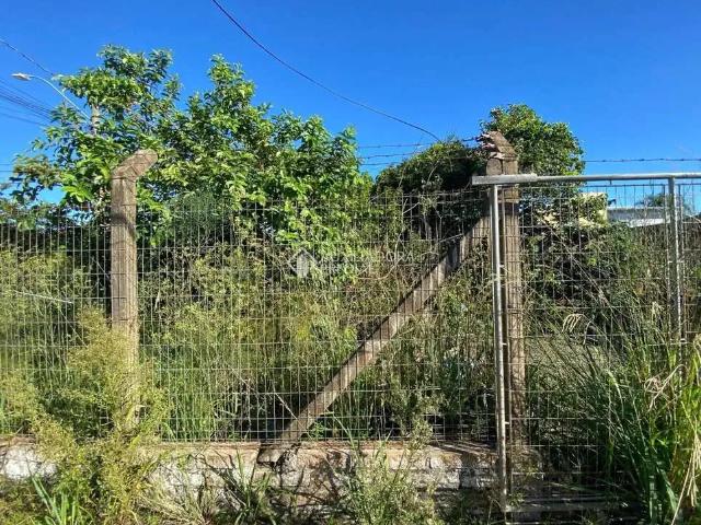 Terreno / Lote para Venda em São Leopoldo/RS Campina
