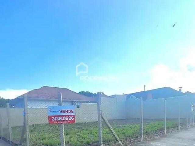 Terreno / Lote para Venda em São Leopoldo/RS Centro