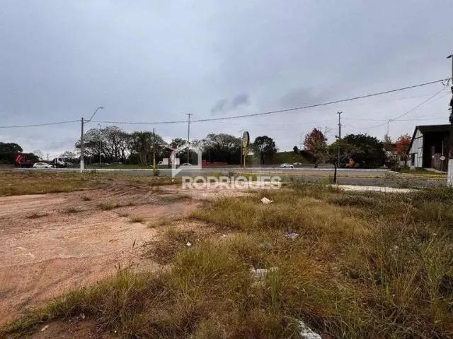 Terreno / Lote para Venda em São Leopoldo/RS Centro