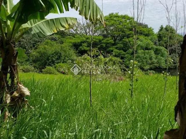 Terreno / Lote para Venda em São Leopoldo/RS Cristo Rei