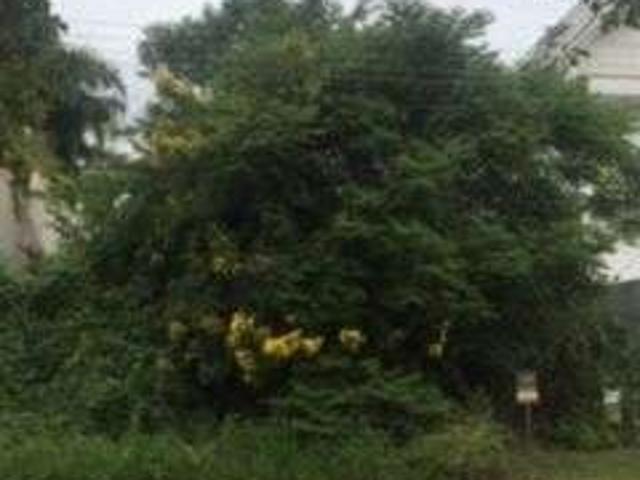 Terreno / Lote para Venda em São Leopoldo/RS Cristo Rei