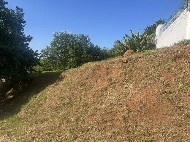 Terreno / Lote para Venda em São Leopoldo/RS Cristo Rei