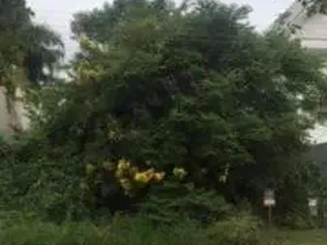 Terreno / Lote para Venda em São Leopoldo/RS Cristo Rei