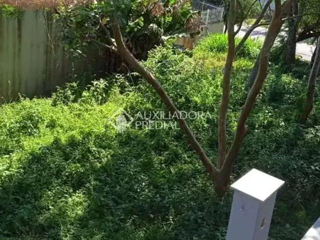 Terreno / Lote para Venda em São Leopoldo/RS Cristo Rei