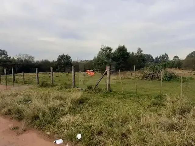 Terreno / Lote para Venda em São Leopoldo/RS Fazenda São Borja
