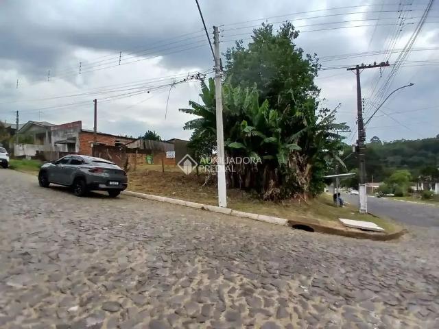 Terreno / Lote para Venda em São Leopoldo/RS Fazenda São Borja