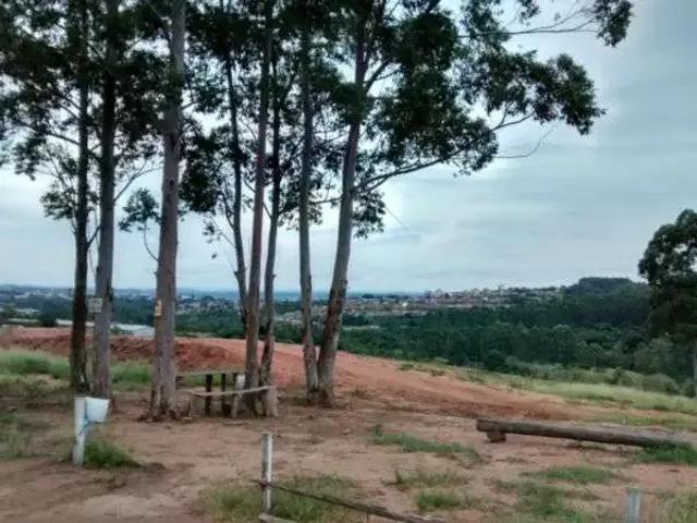 Terreno / Lote para Venda em São Leopoldo/RS Fazenda São Borja