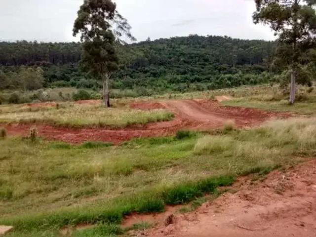 Terreno / Lote para Venda em São Leopoldo/RS Fazenda São Borja