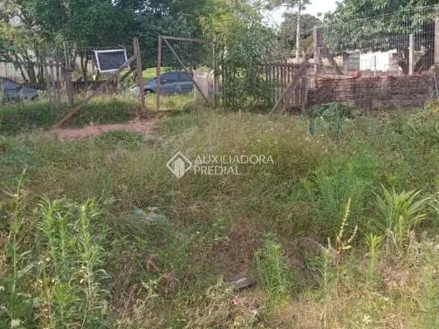 Terreno / Lote para Venda em São Leopoldo/RS Fazenda São Borja
