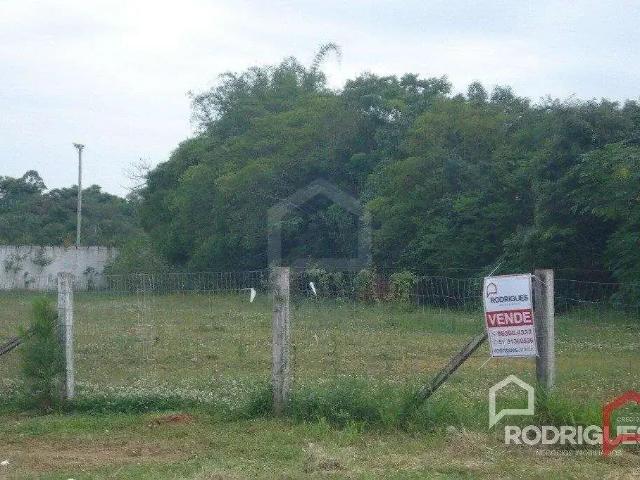 Terreno / Lote para Venda em São Leopoldo/RS Fazenda São Borja