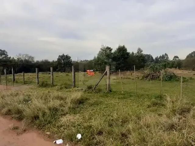 Terreno / Lote para Venda em São Leopoldo/RS Fazenda São Borja