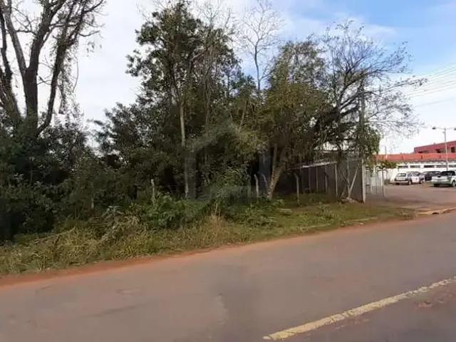 Terreno / Lote para Venda em São Leopoldo/RS Fazenda São Borja